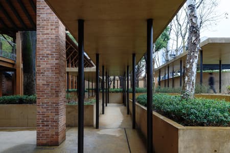 Jingyang Camphor Court